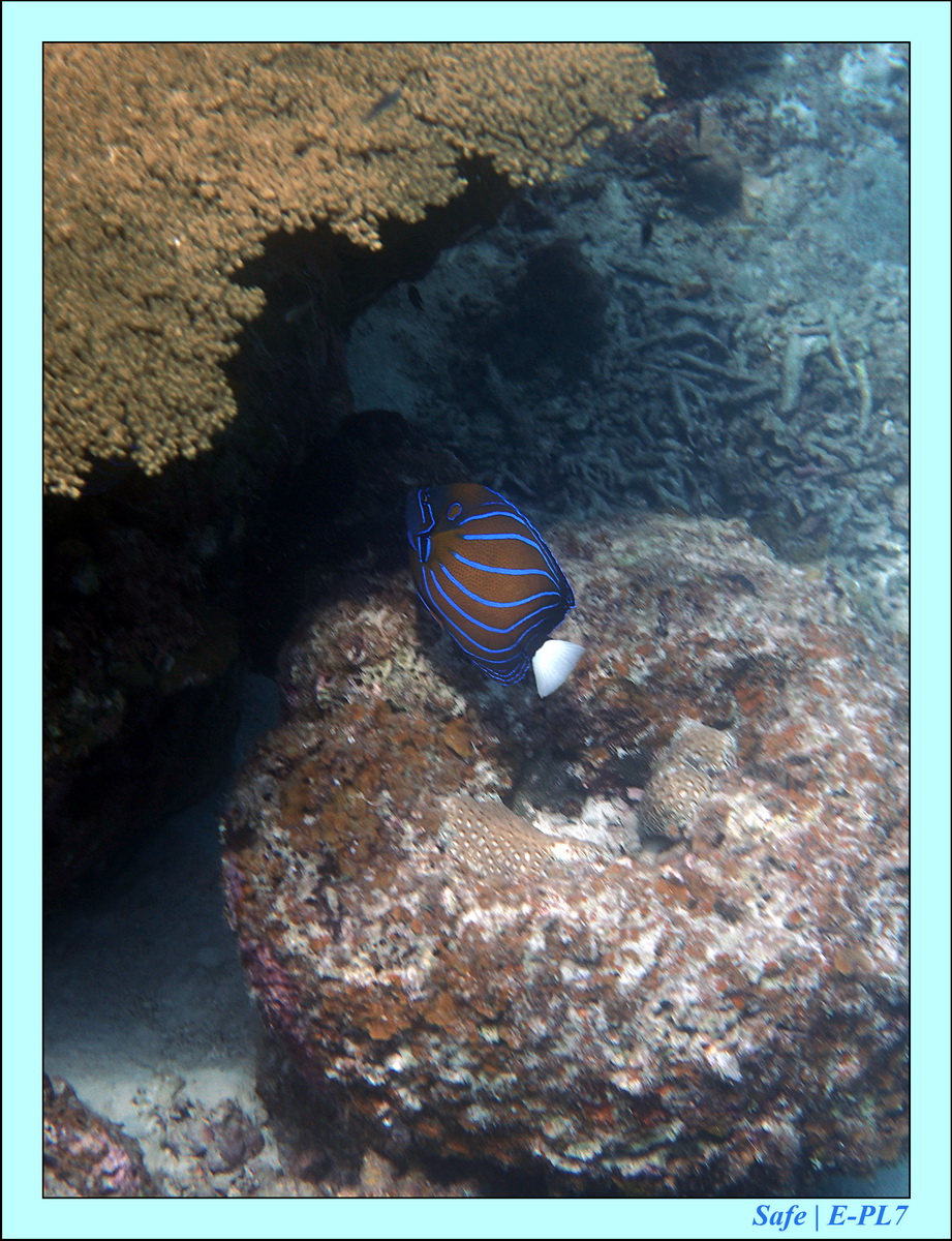 2016 - 07 - Leng Tengah - 069